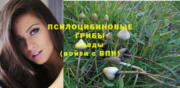 гашик Козельск