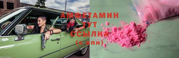гашик Козельск
