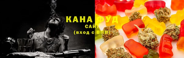 гашик Козельск