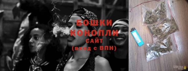ПСИЛОЦИБИНОВЫЕ ГРИБЫ Костерёво