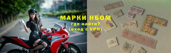 гашик Козельск