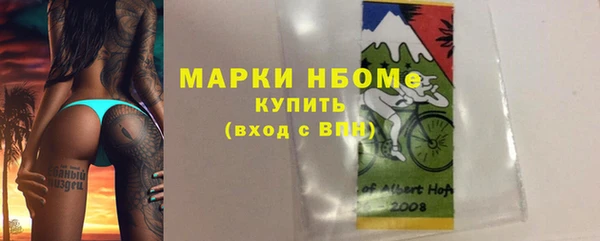 гашик Козельск