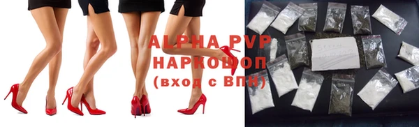 сатива Вяземский