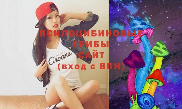 хмурый Корсаков