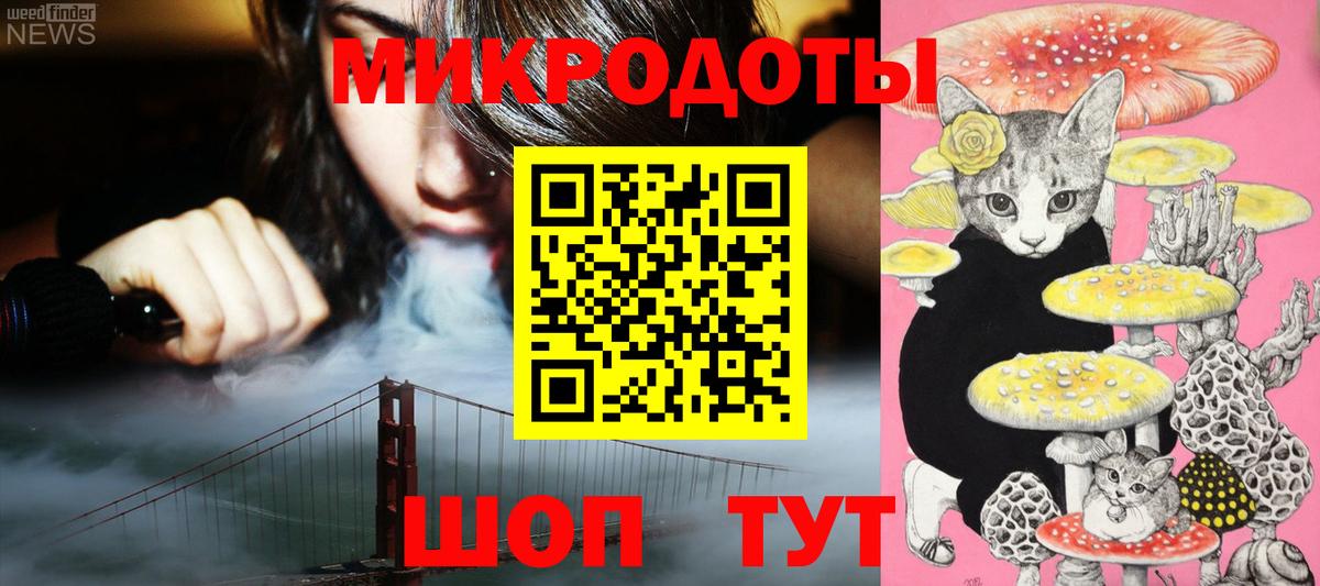 Псилоцибиновые грибы Psilocybe Иркутск