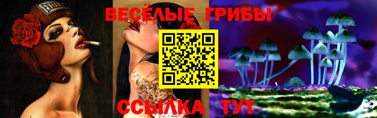 Галлюциногенные грибы Magic Shrooms  Иркутск 